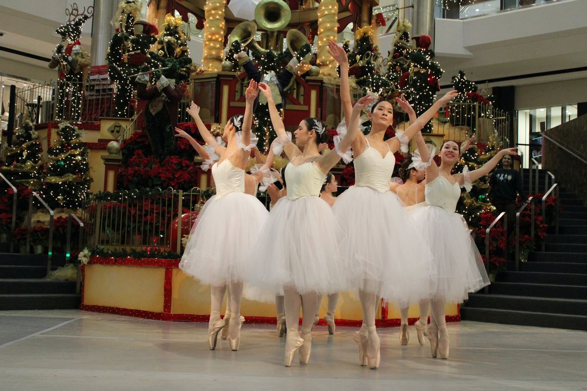 Nutcracker Suite Performances