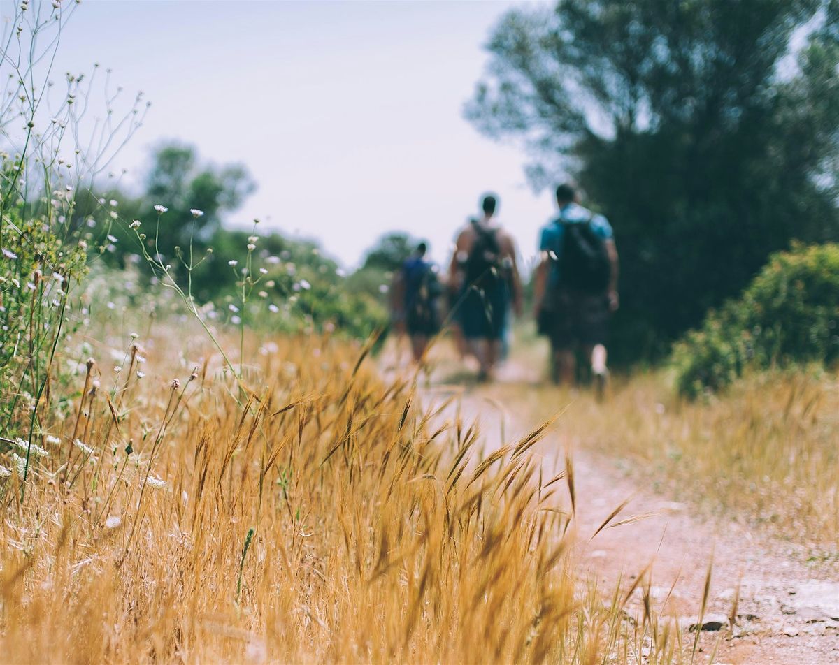 Speed Friending Walk