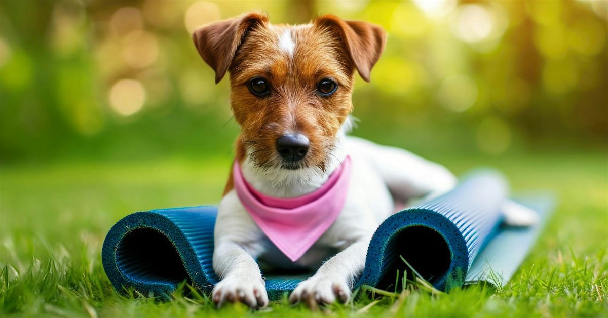 Puppy Yoga on The Green