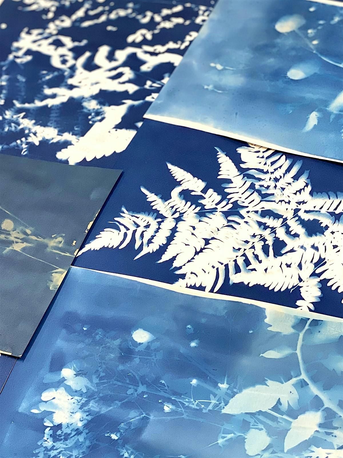 Atelier de cyanotype avec Magali Robidaire