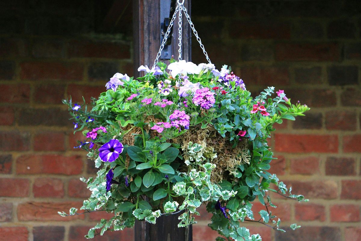 Second Summer Container and Hanging Basket Workshop