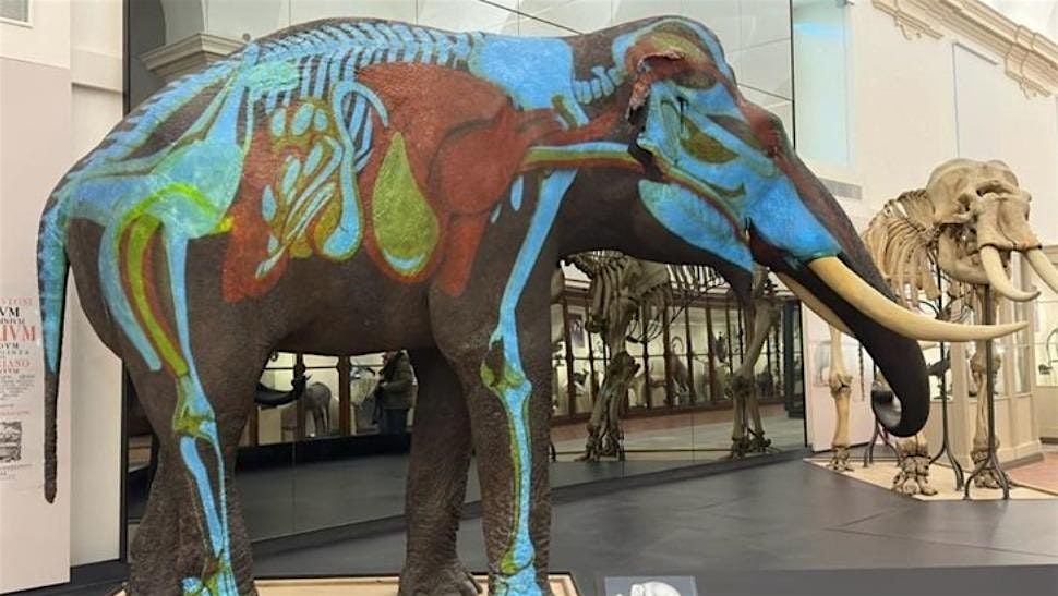 Visita Guidata al Museo di Scienze Naturali