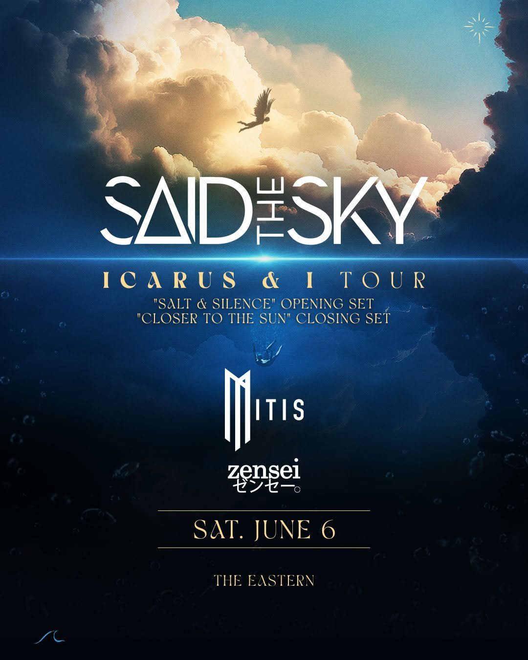 Said The Sky