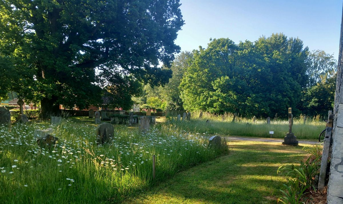 Introduction to wildflower identification in your churchyard