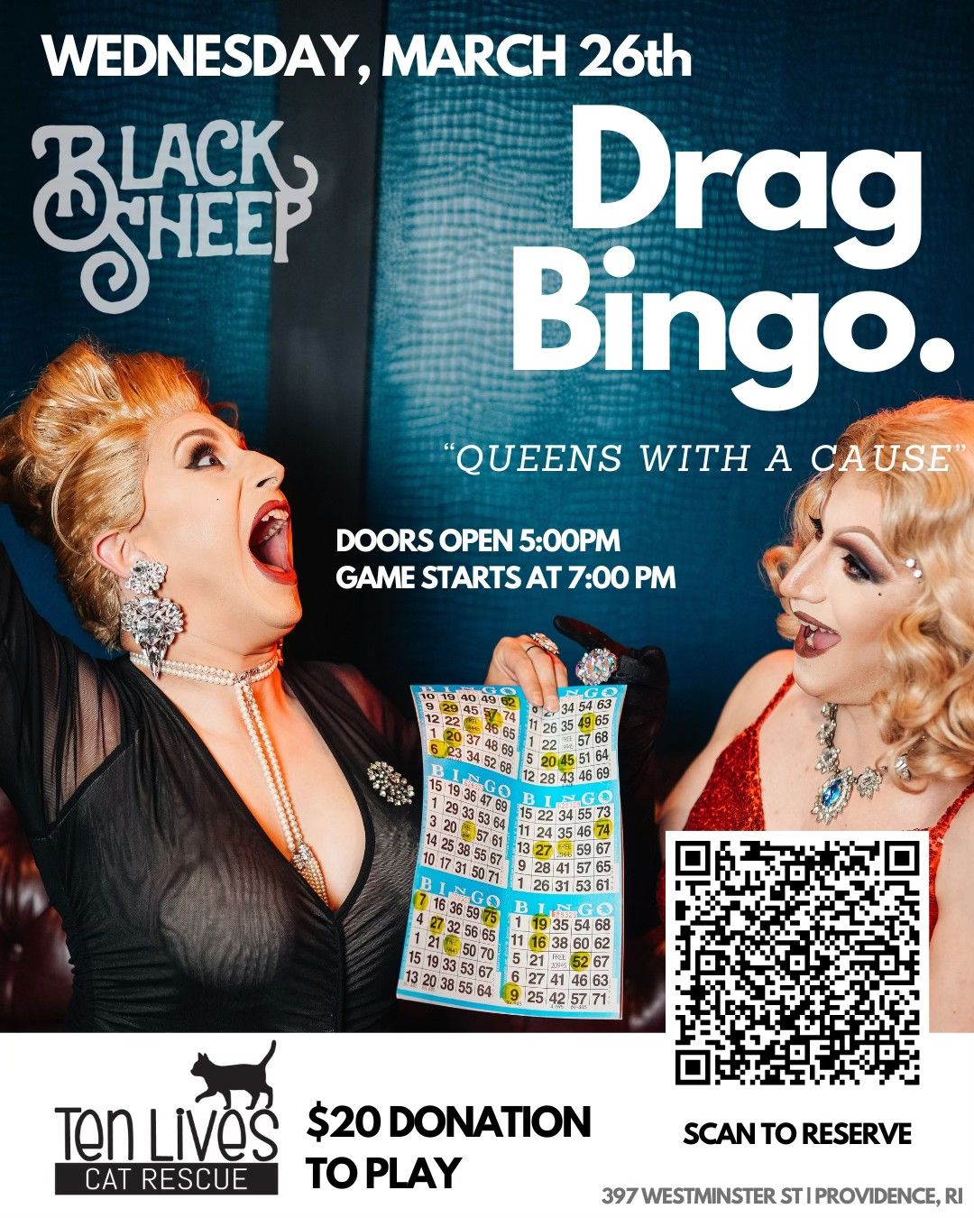 Drag Bingo : 10 Lives Cat Rescue