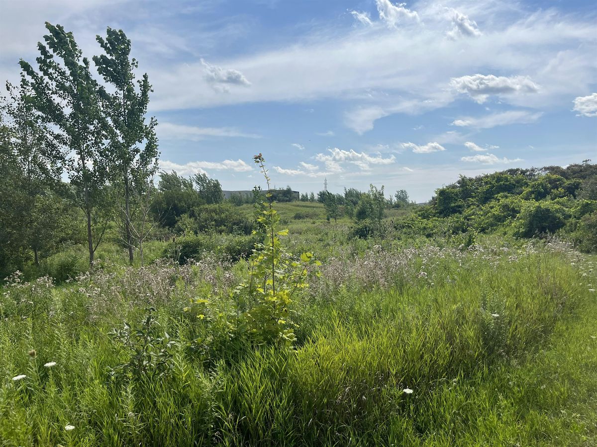 Guided Meditation Group Walk