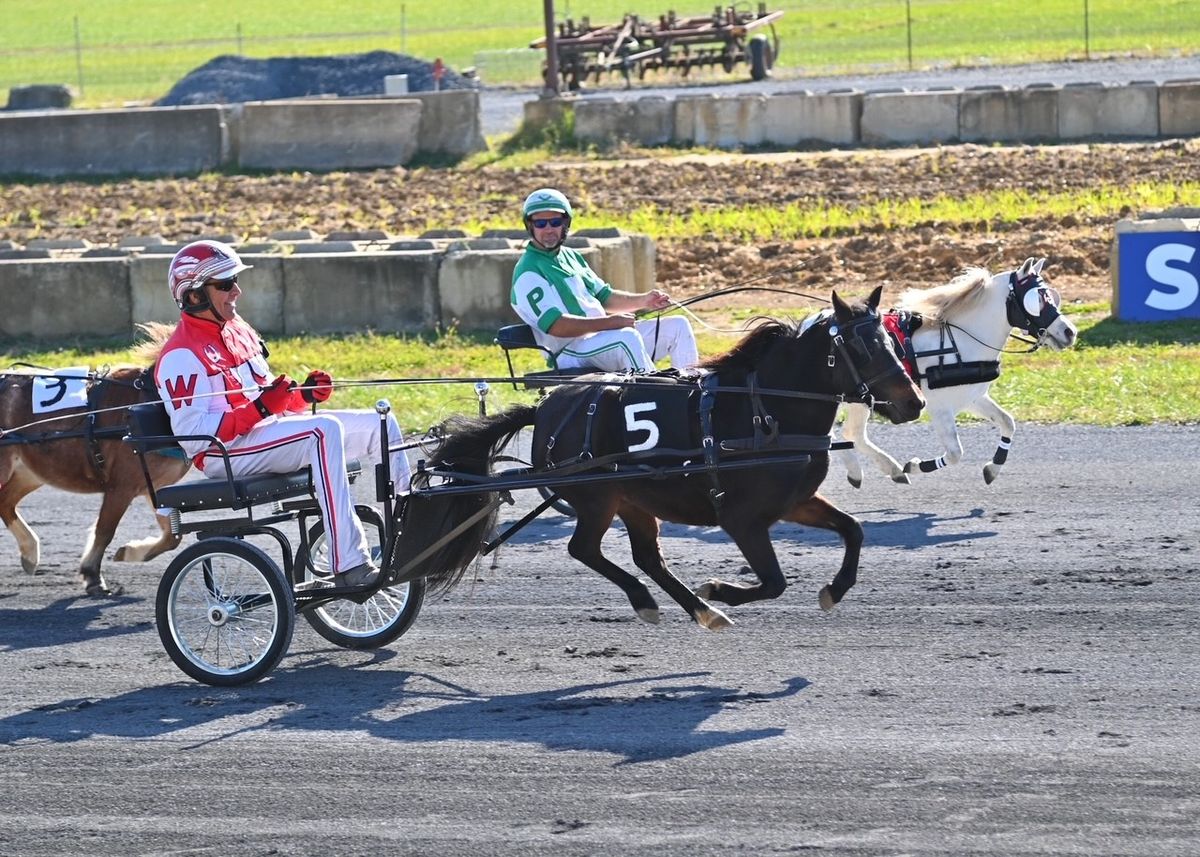 Pink Power Day featuring Miniature Horse Races!  