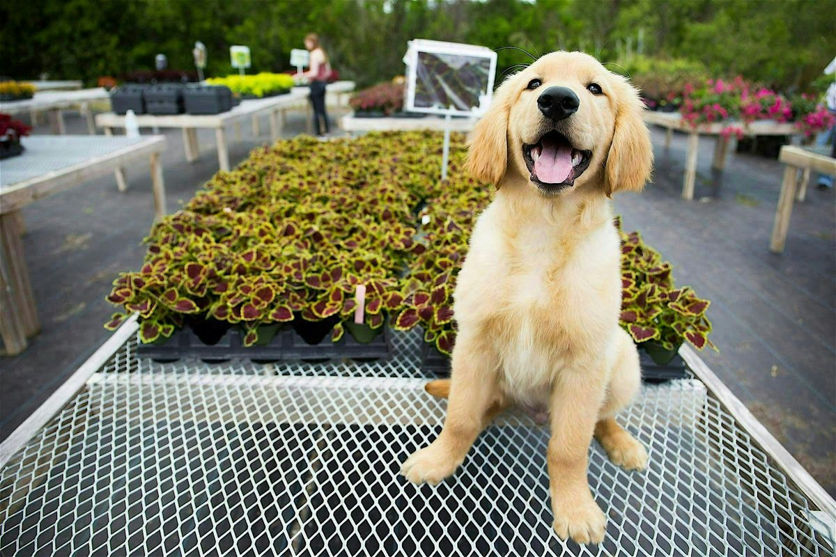 3-14-2026  Pets & Plants