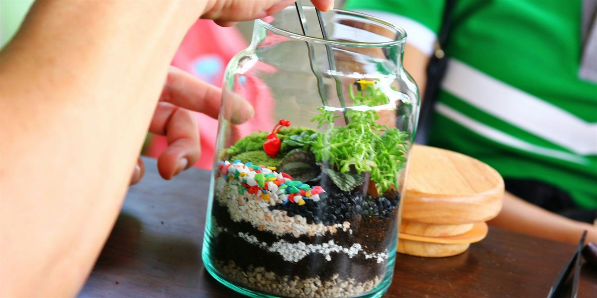 Make Your Own Closed Eco-System Terrarium - Astoria - Art Class by Classpop!\u2122