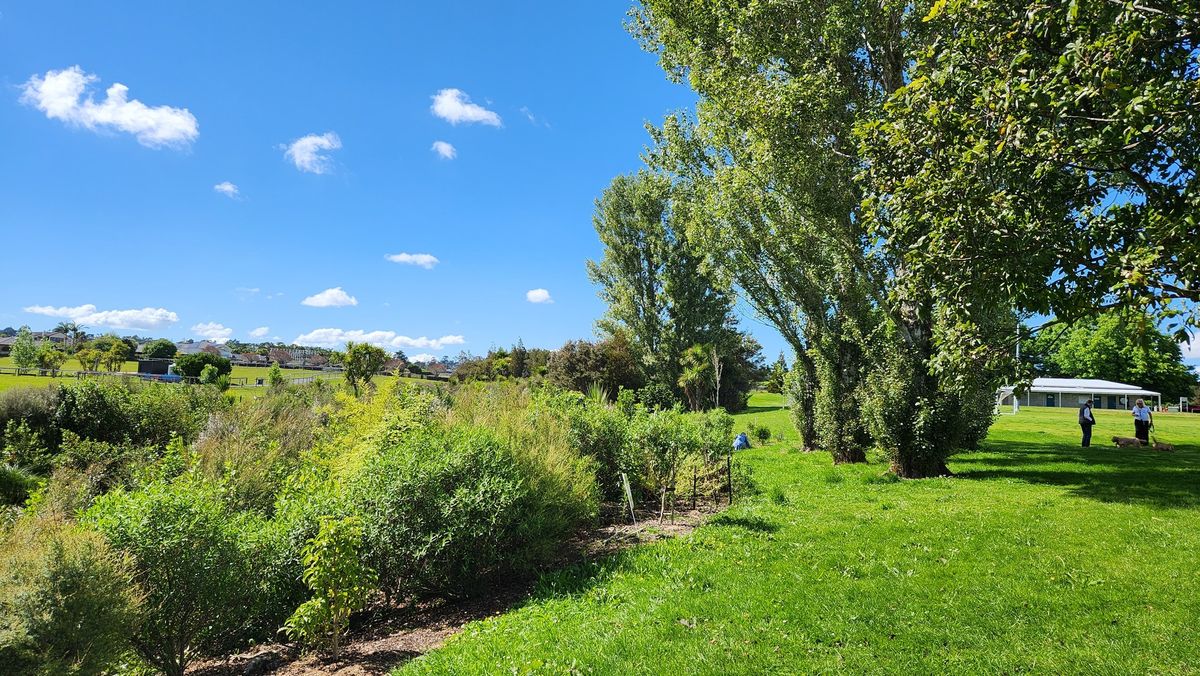 GCT Friends of Wainoni Park Volunteer Morning