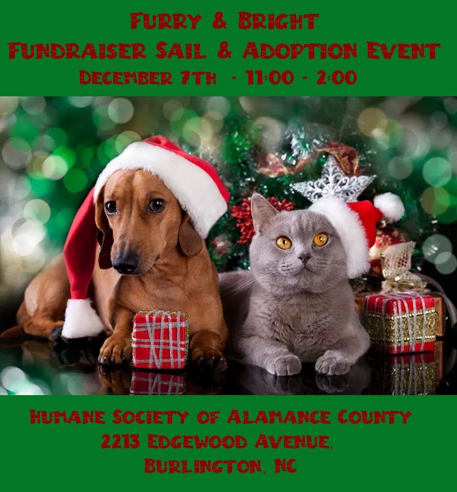 Furry & Bright!  Fundraiser Sale and Adoption Event