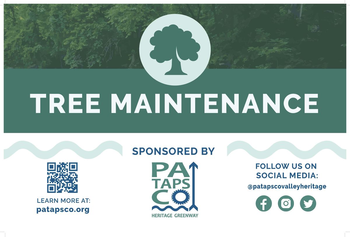PHG & CRTT Short Line Trail Tree Maintenance