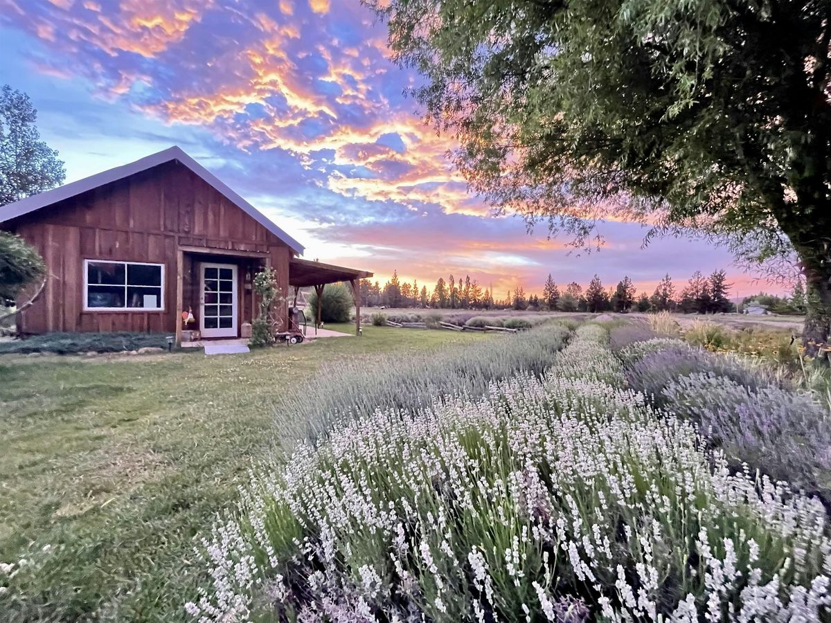 Lavender Nights: End of Season Gathering
