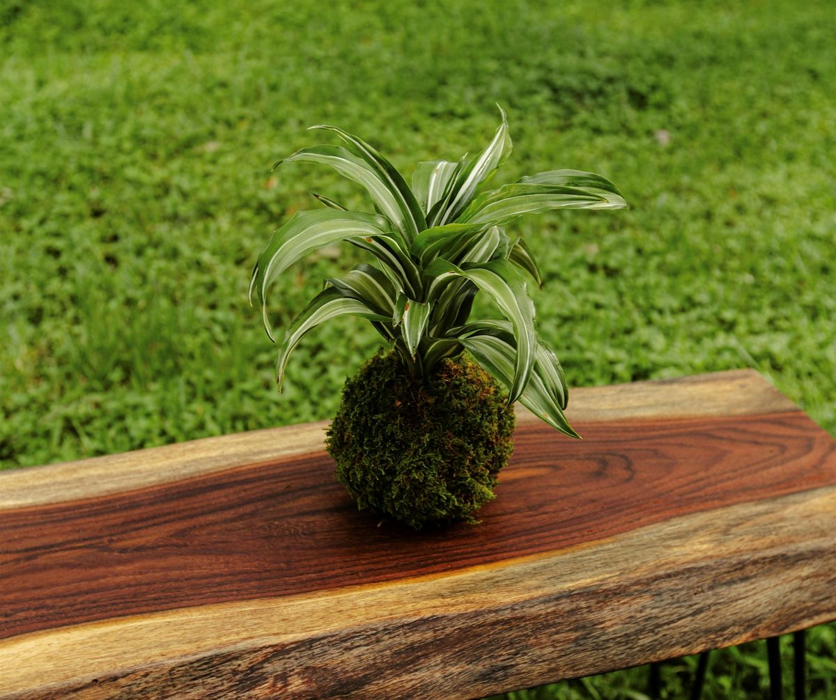 Kokedama Workshop
