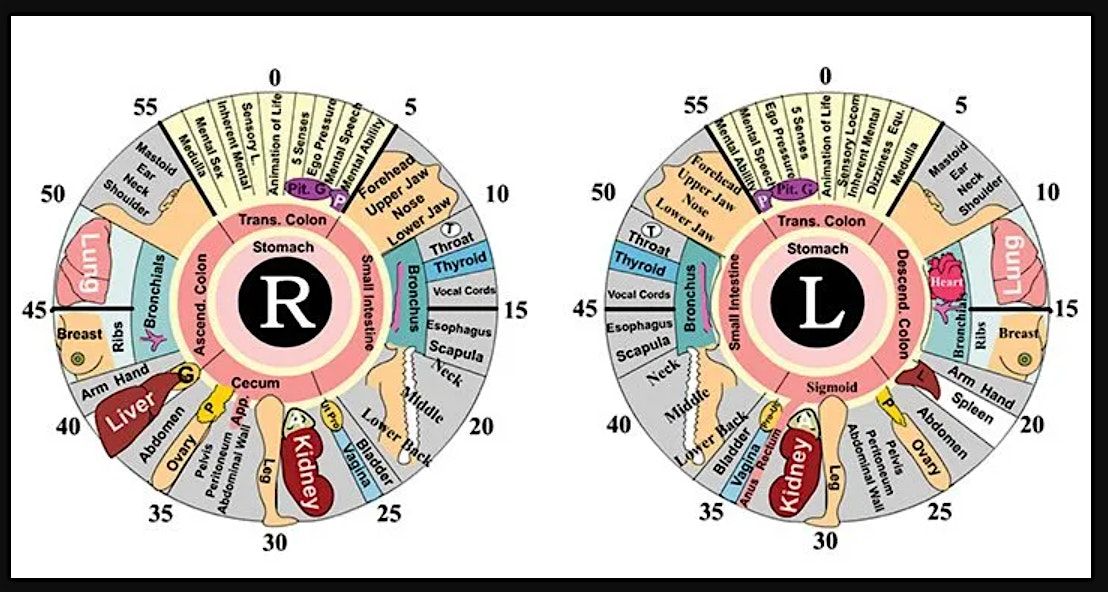 Sacred Grove Traditions - Iridology Sessions