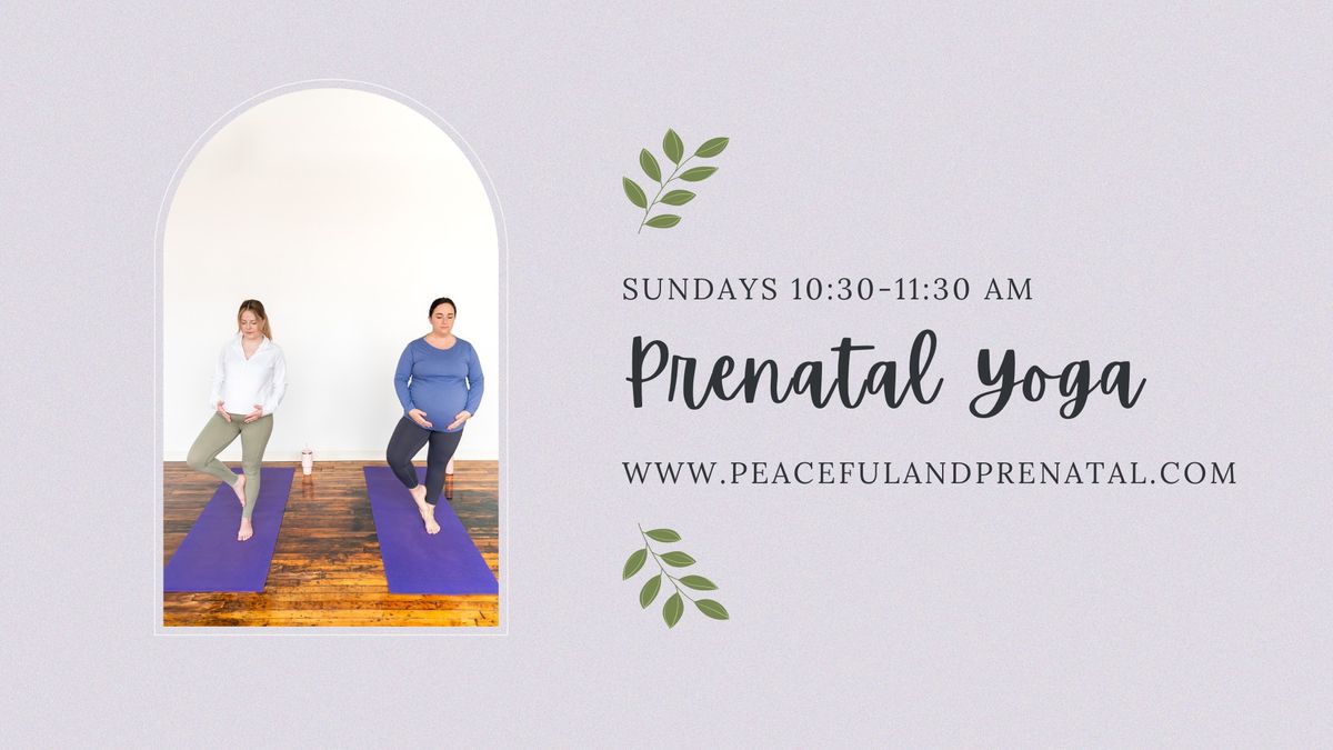 Prenatal Yoga 