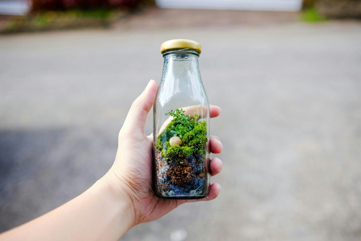 Tiny Terrariums: Family Program, $4 per person upon arrival