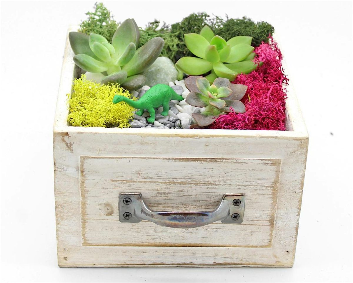 Family Plant Party: Make a Succulent Terrarium