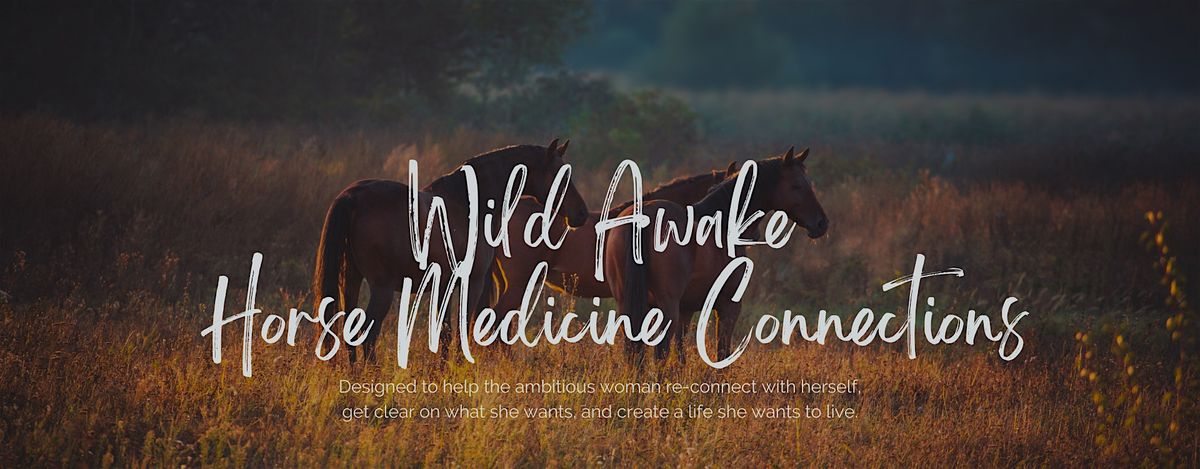 Wild Awake - Horse Medicine Connection Experience