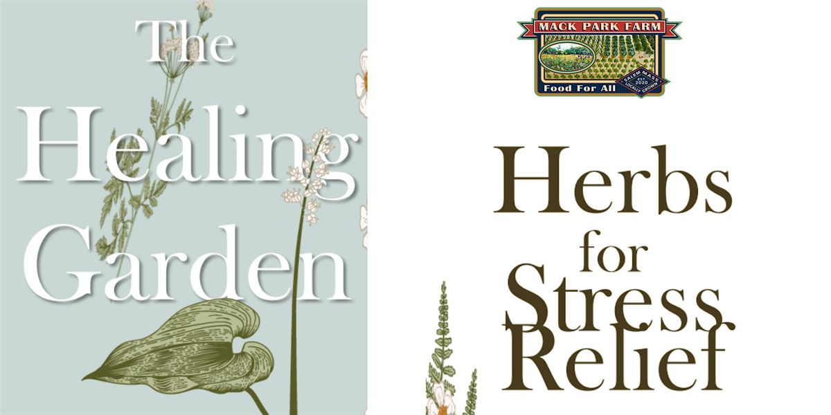 The Healing Garden: Herbs for Stress Relief