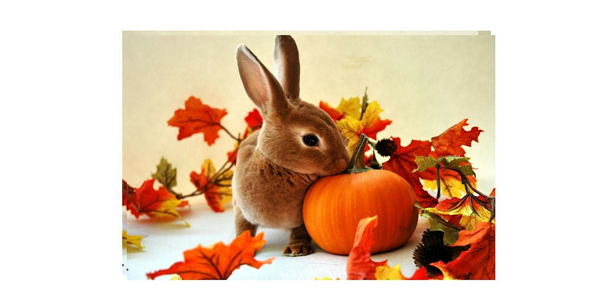 September General Admission \/Pumpkin Patch