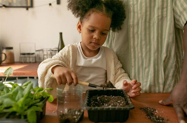 KIDS WORKSHOP: Chia Greenhouses