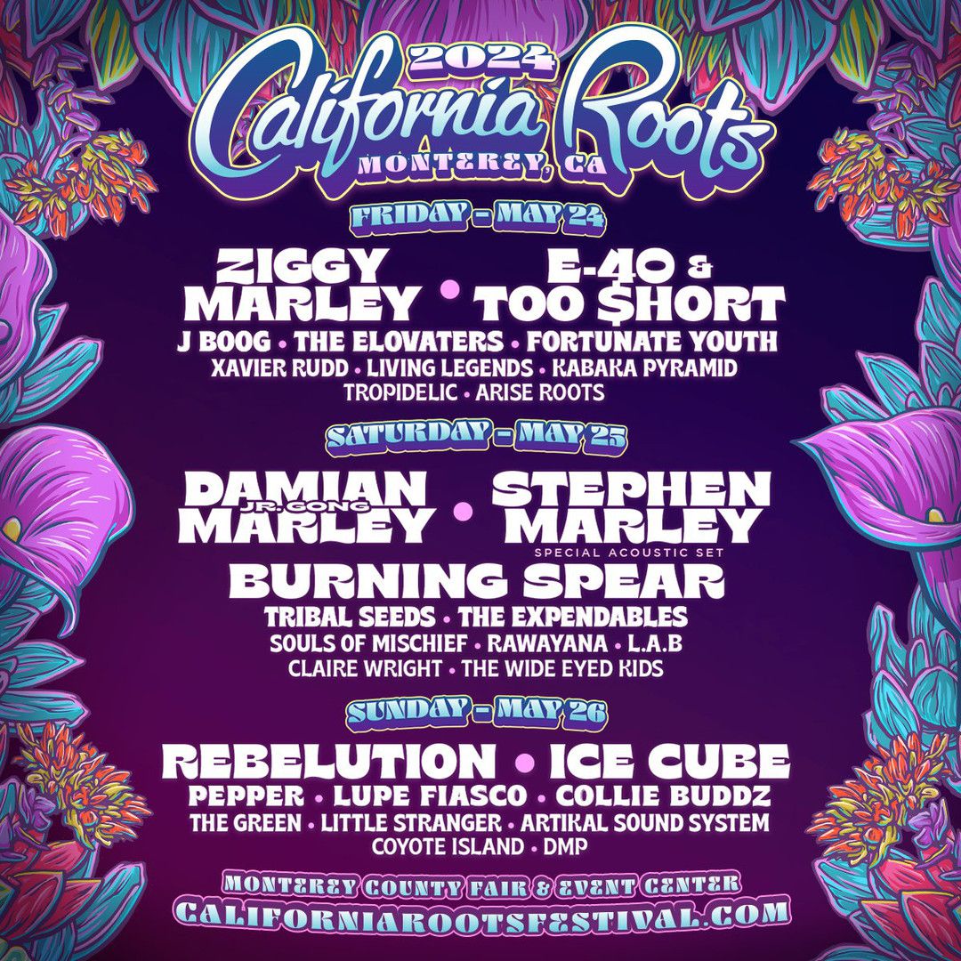 California Roots Music and Arts Festival - Friday