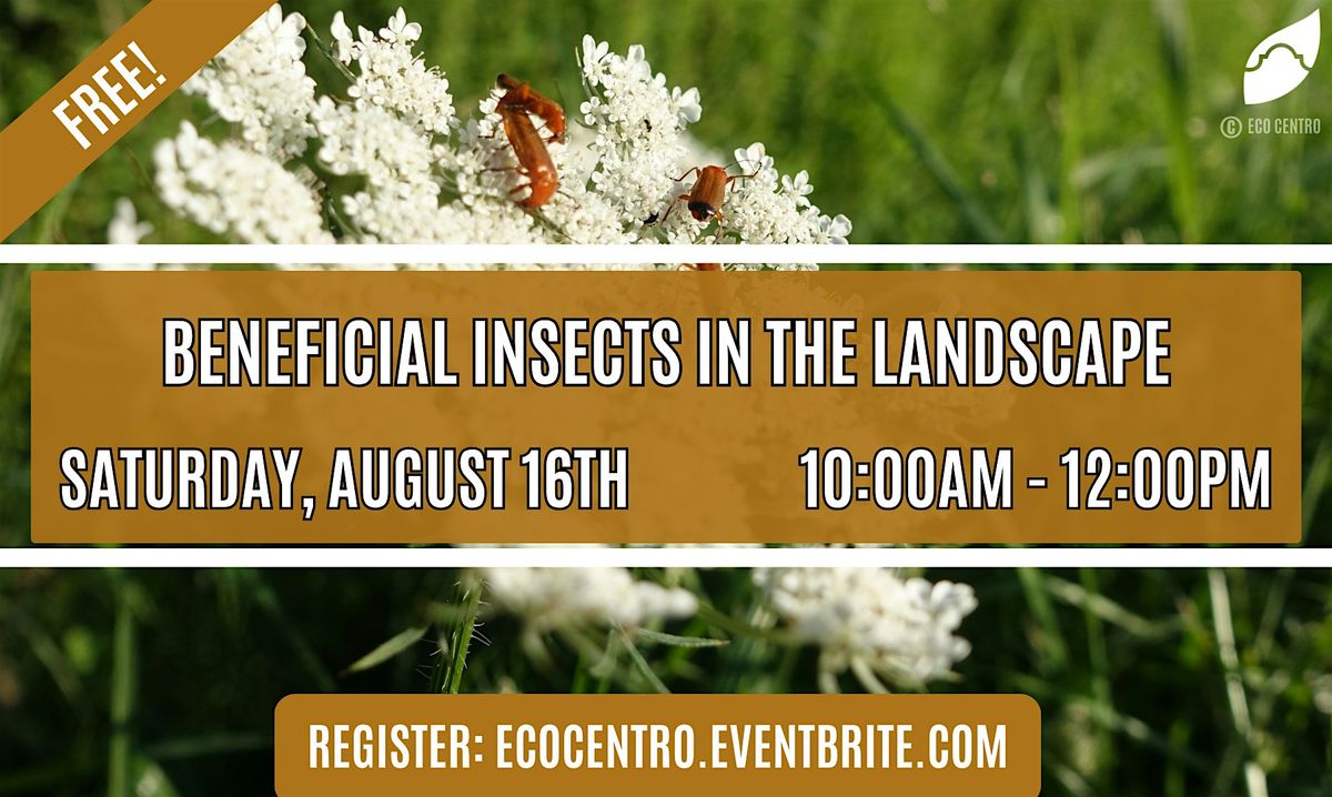 Beneficial Insects In the Landscape