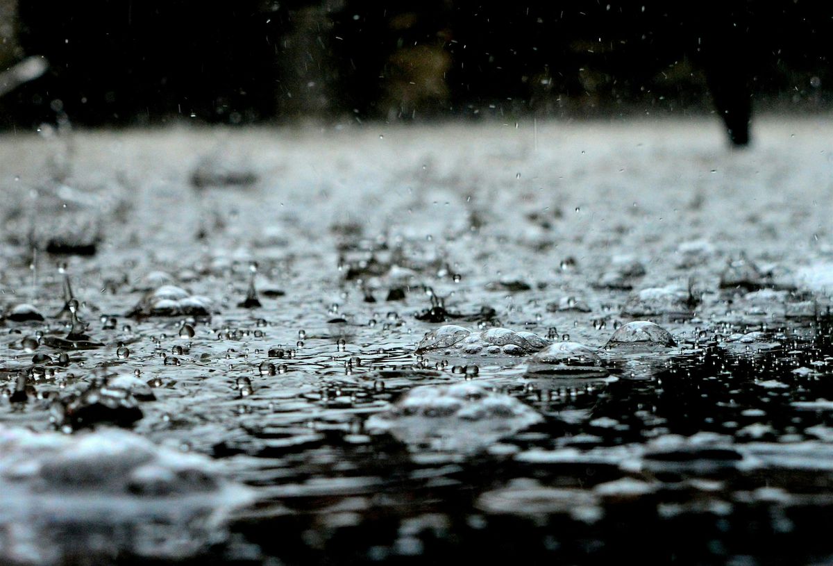 Rainwater Harvesting Workshop