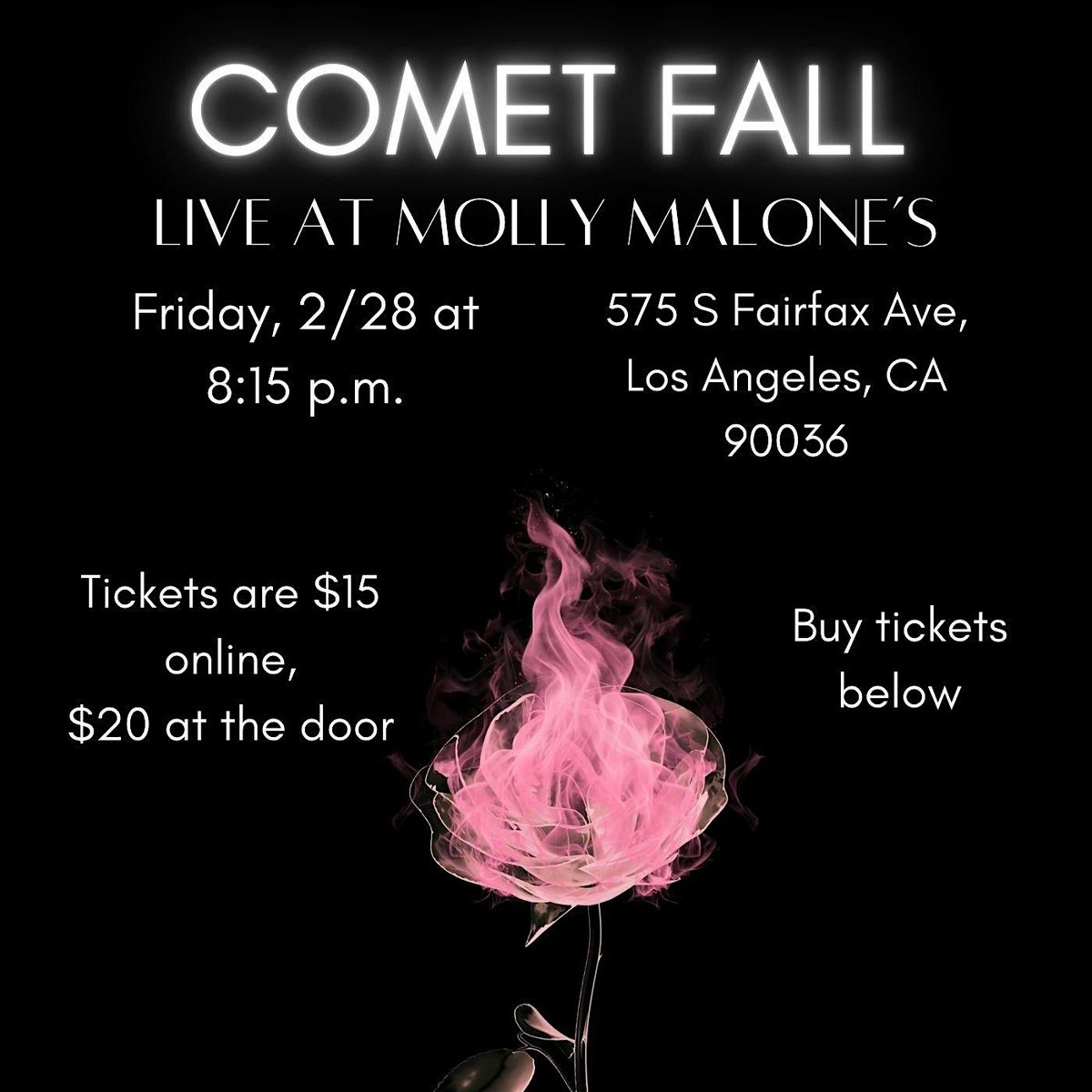 Comet Fall at Molly Malone's