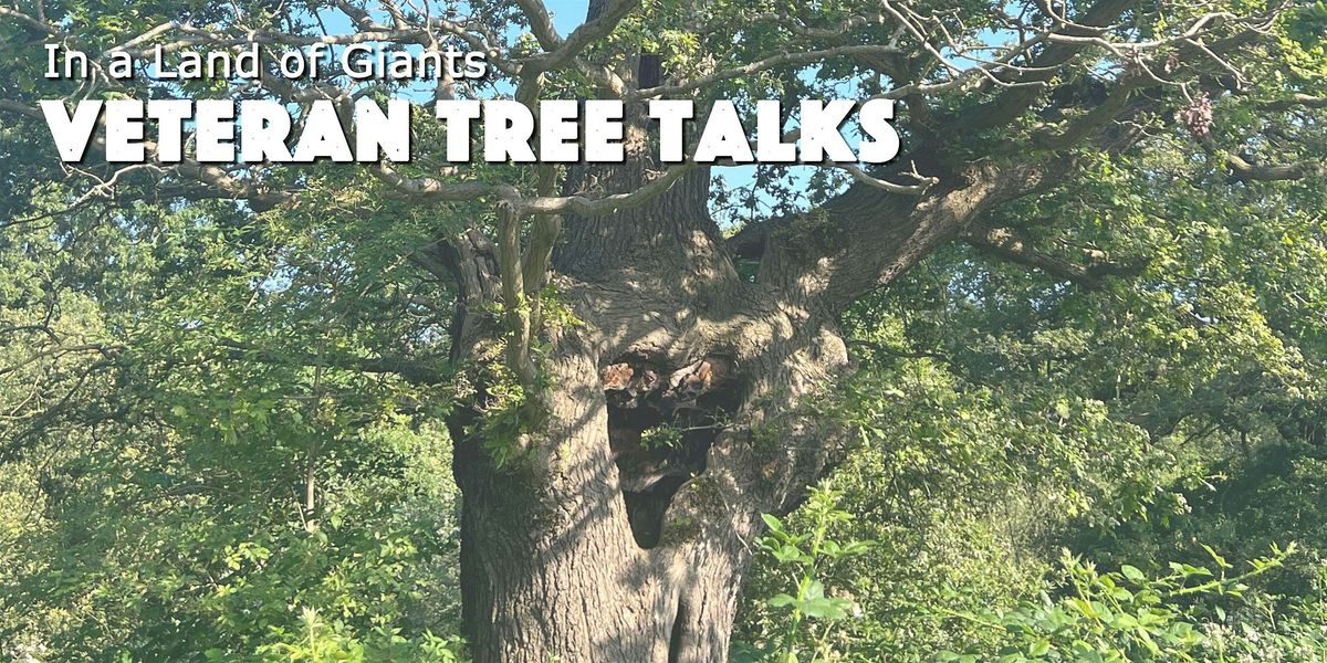 Evening Talk: Ancient and Veteran Trees