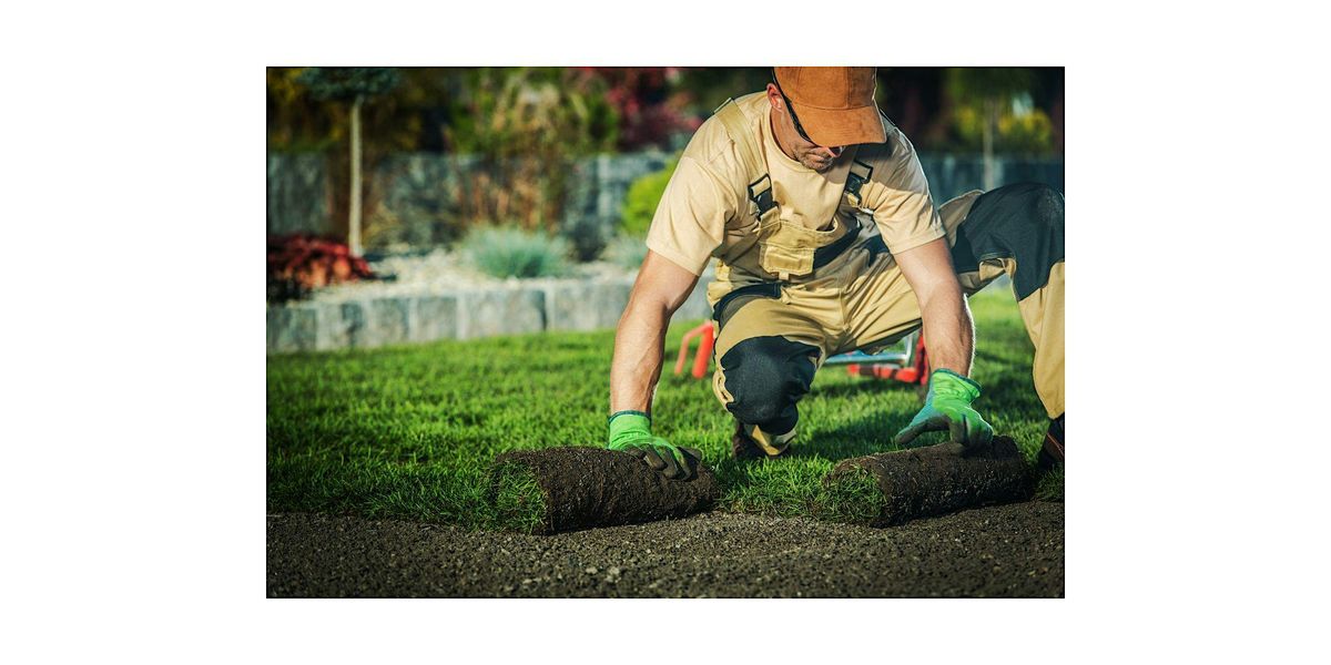 Fall Armyworm and W**d Management in Turf