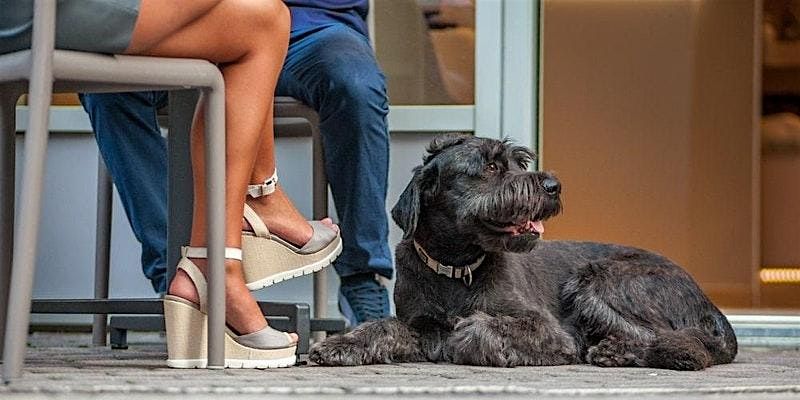 *FLASH SALE 45%*  As seen on BravoTV! Blind-Date Matchmaking in Chicago