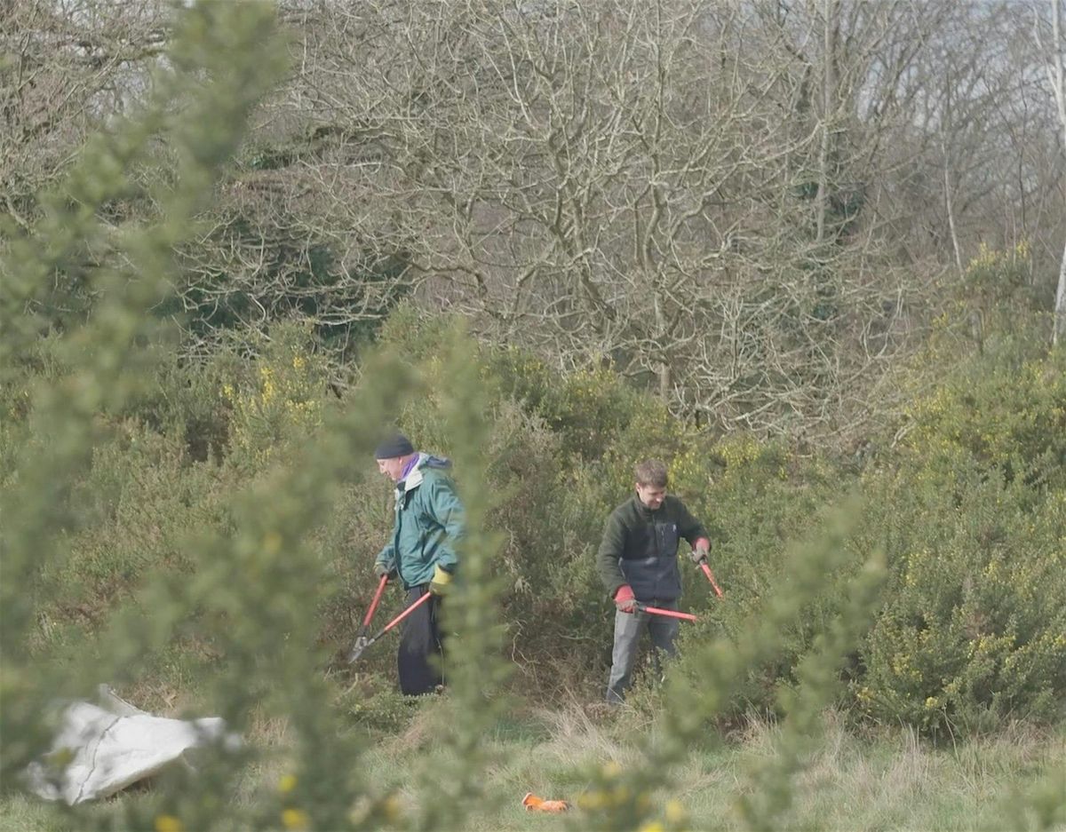 Saturday Conservation Volunteering Session