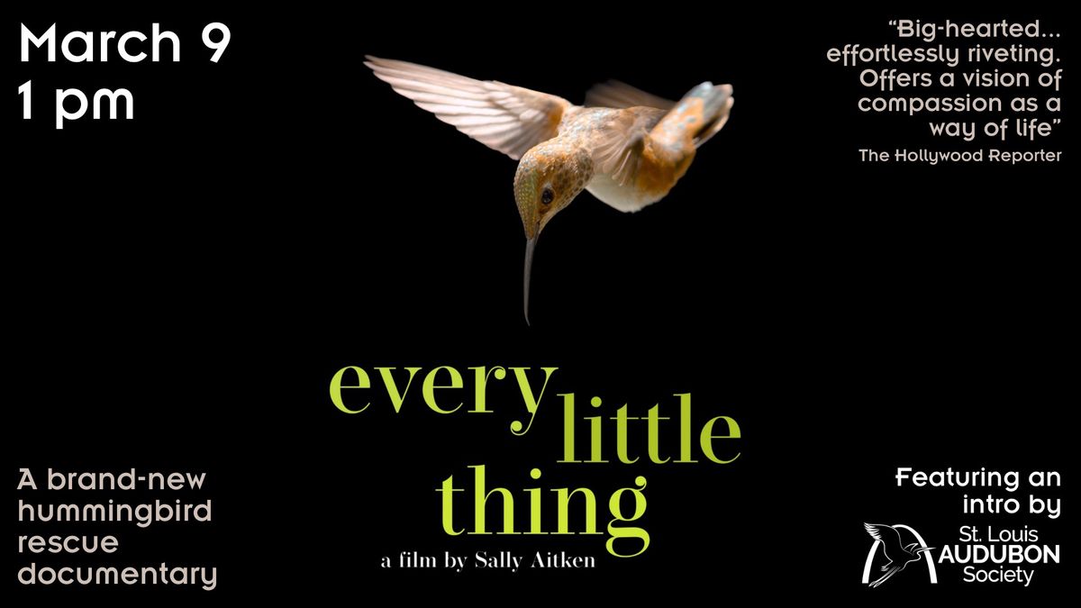 Hummingbird documentary EVERY LITTLE THING presented with the St. Louis Audubon Society