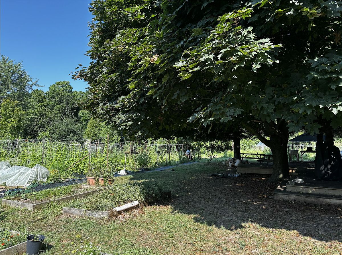 The Common Table Farm Harvest Open House