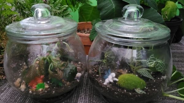 Gardening With Kids: Terrarium Style