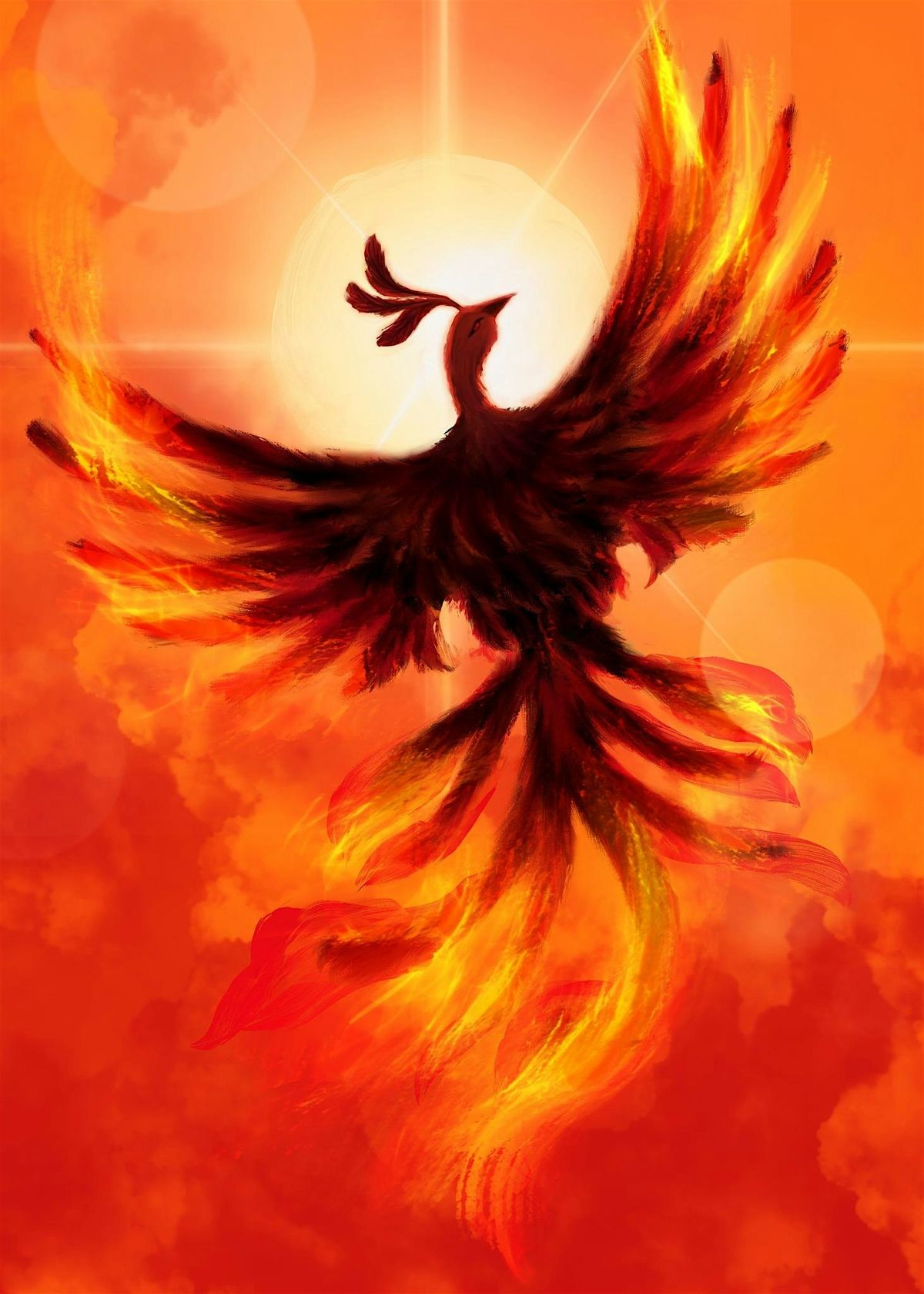 The Phoenix rises - Domestic violence benefit show