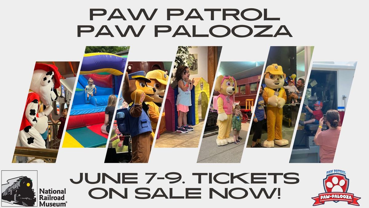 Paw Patrol Paw Palooza 