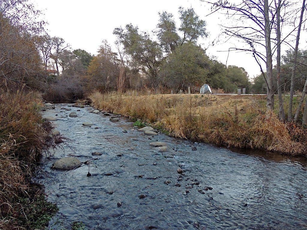 Secret Ravine Adopt-a-Creek  Clean Up Event-- Oct 18, 2025