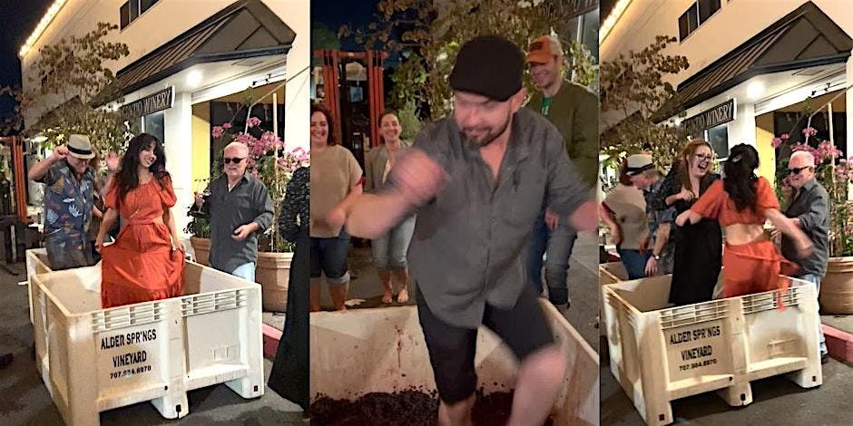 31st Annual Harvest Party at D'Argenzio Winery