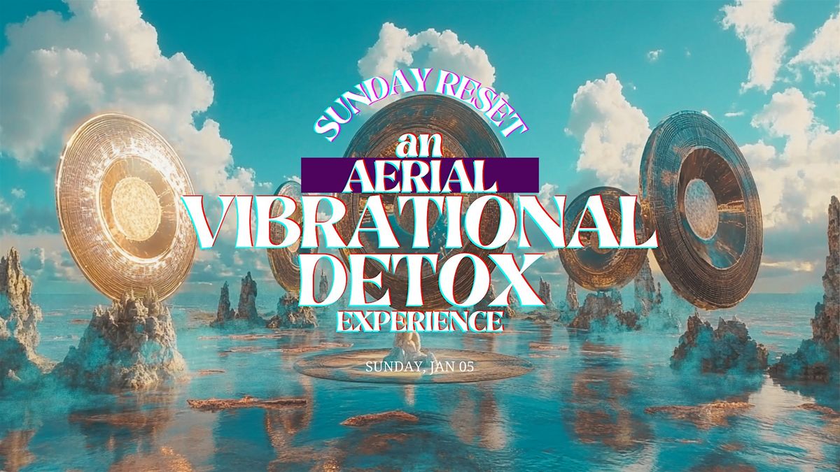 Aerial Vibrational Detox - A Soothing Aerial Sound Immersion