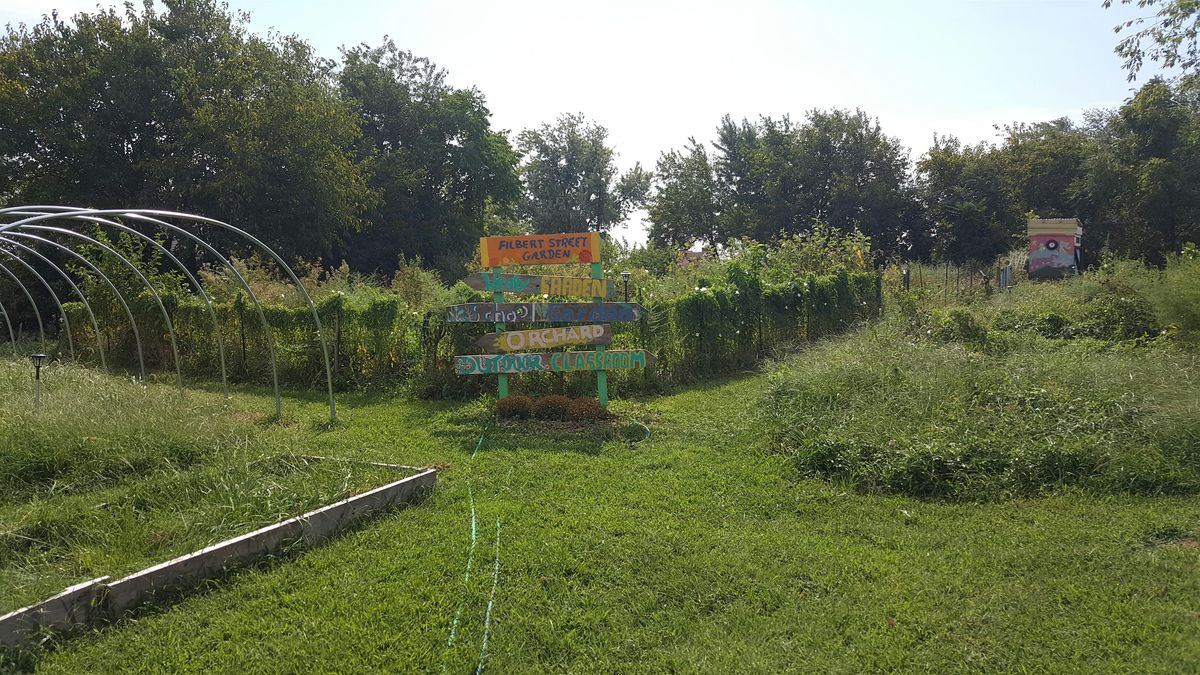 Urban Veggie Gardening 101