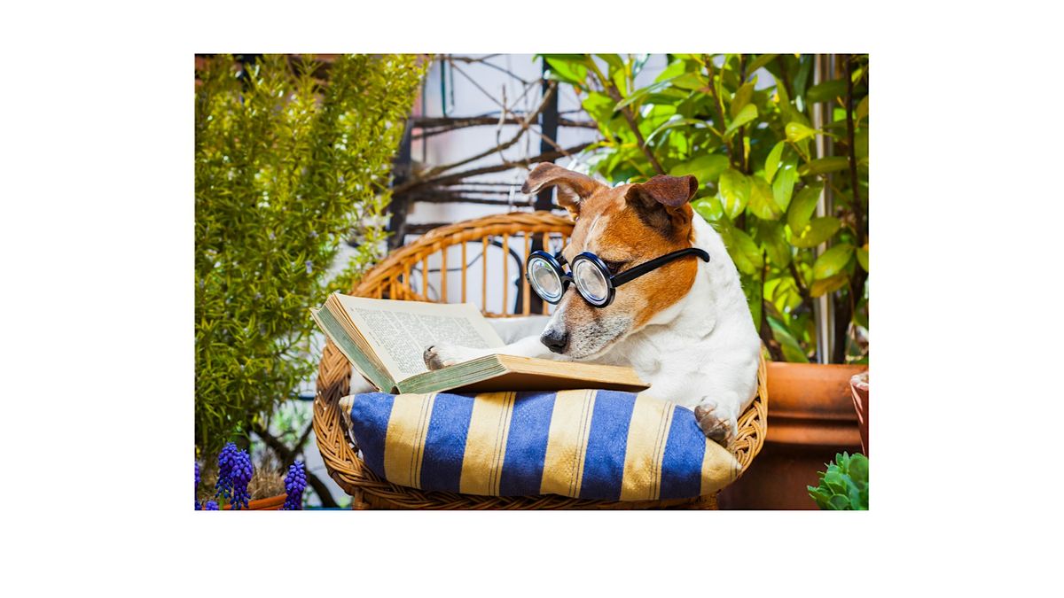 Tales to Tails: Reading to Therapy Dogs