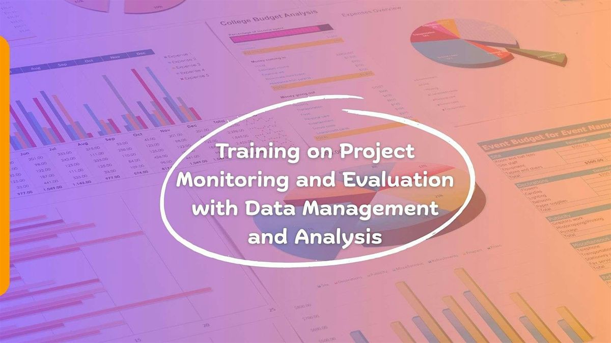 Project Monitoring and Evaluation with Data Management and Analysis