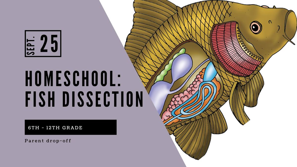 Homeschool 6th-12th Grade: Fish Dissection