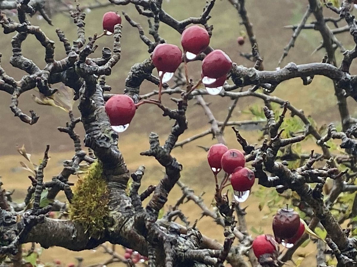 Worcester Arts Collective Poetry Workshop