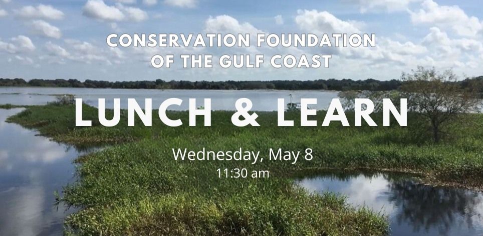Lunch and Learn at Bay Preserve