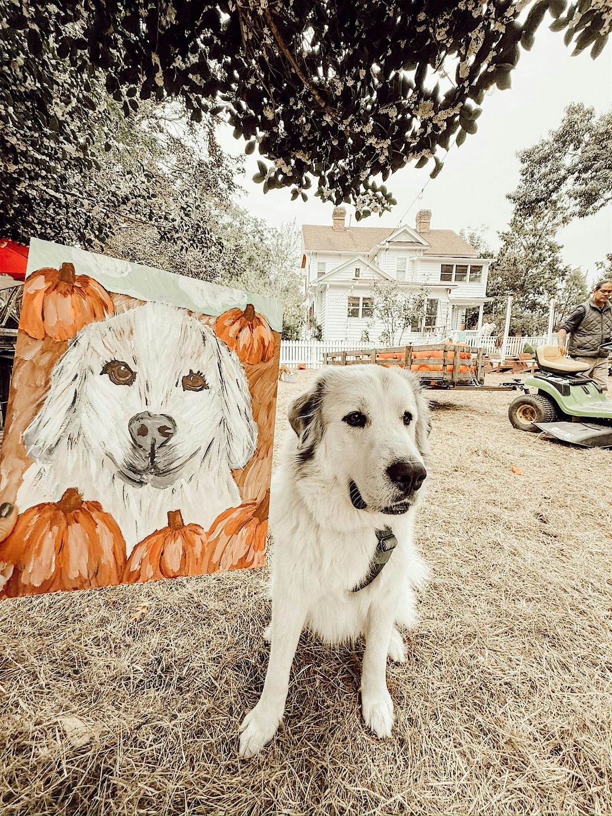 Farm Paint & Sip-Custom Pet Winter Wonderland