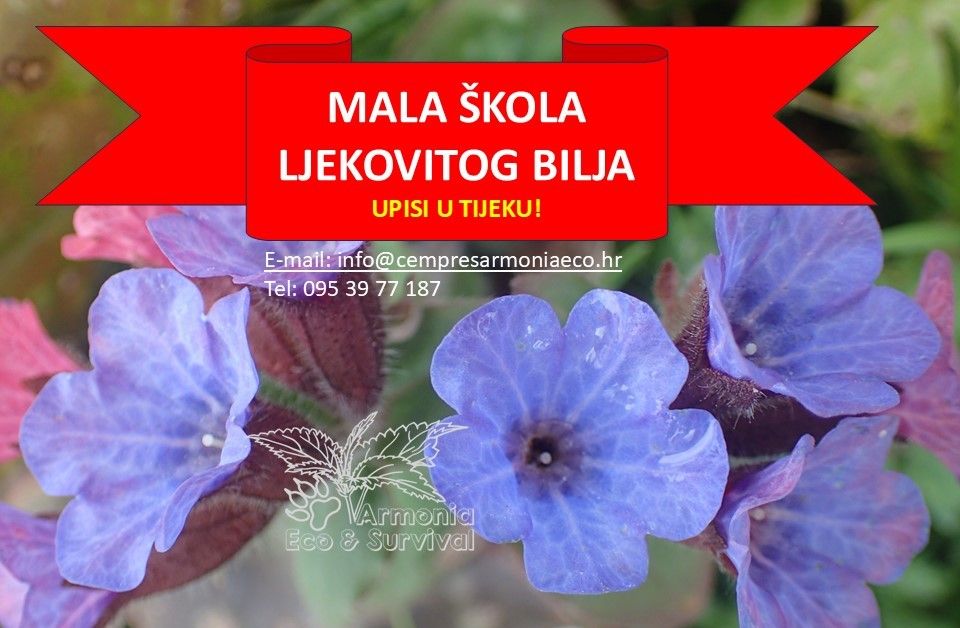 MALA \u0160KOLA LJEKOVITOG BILJA